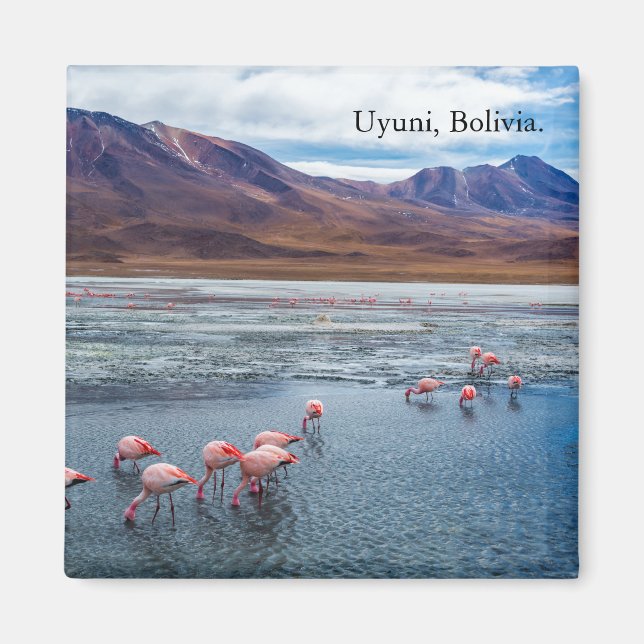 Imán Pink Flamingoes in Bolivia (Frente)