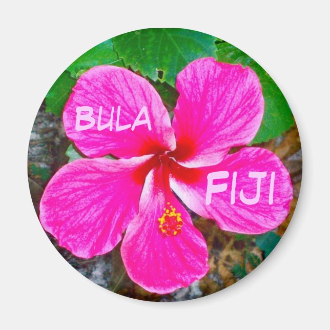 Imán Pink Habiscus Magnet (Frente)