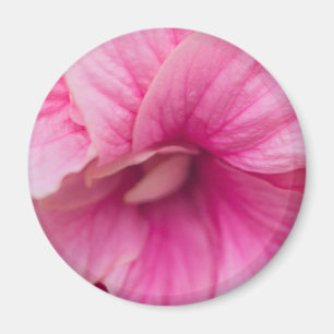 Imán Pink Hibiscus