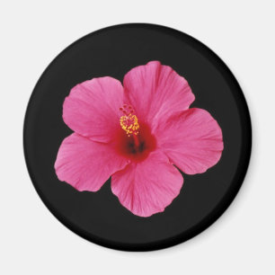 Imán Pink Hibiscus