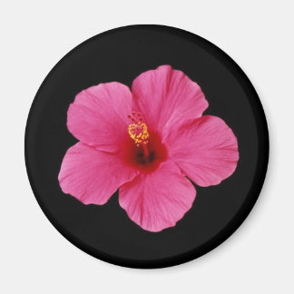 Imán Pink Hibiscus