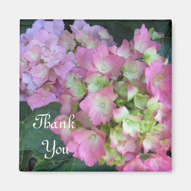 Imán Pink Hydrangeas Gracias (Frente)