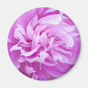Imán Pink Peony - Magnet