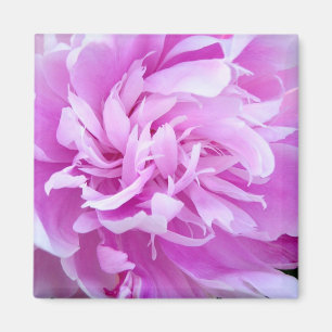 Imán Pink Peony - Magnet