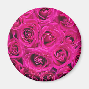 Imán Pink Roses (Love and Romance)