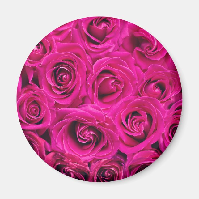 Imán Pink Roses (Love and Romance) (Frente)