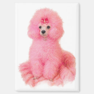 Imán pink toy poodle magnet, pink poodle, refrigerator