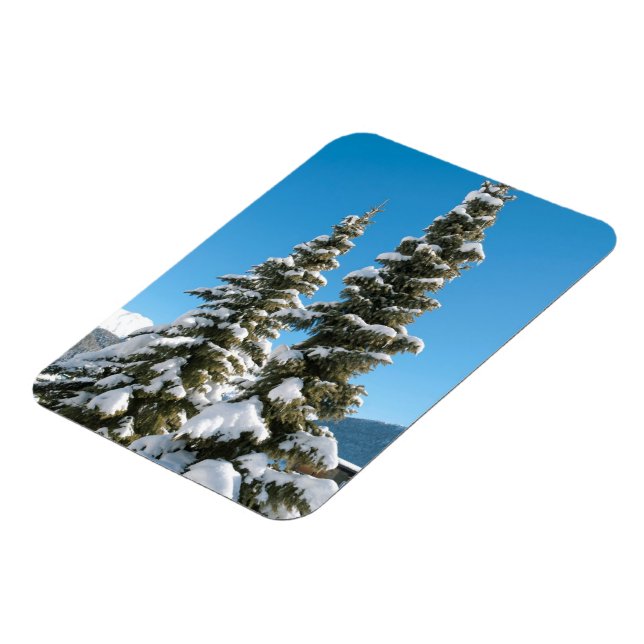 Imán Pinos bajo la Nieve (Lado Izquierdo)