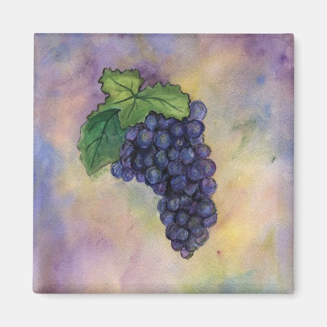 Imán Pinot Noir Wine Grapes Magnet (Frente)