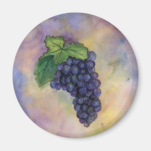 Imán Pinot Noir Wine Grapes Magnet (Frente)