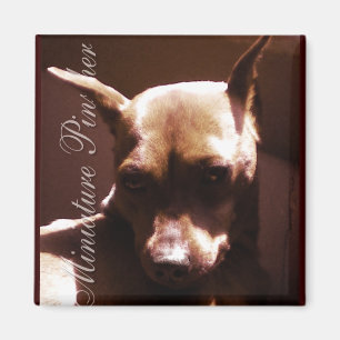 Imán Pinscher miniatura
