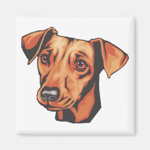 Imán Pinscher miniatura