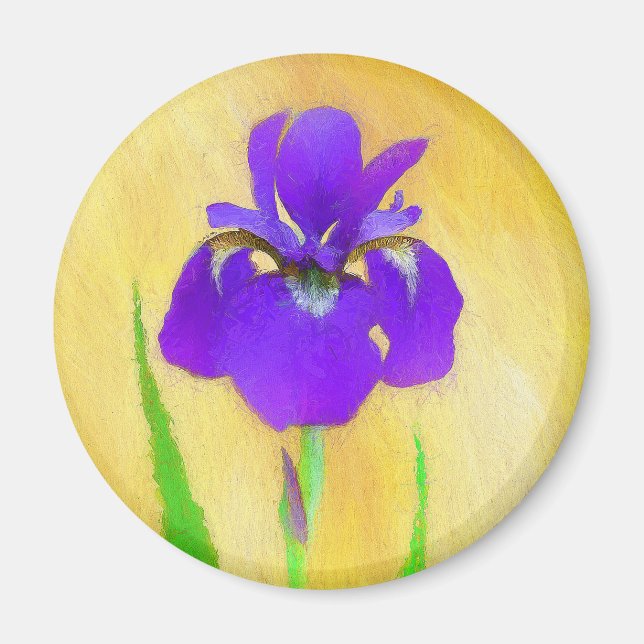 Imán Pintado de iris morado - Perro original curado A (Frente)