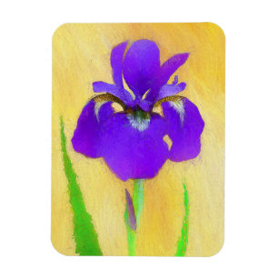 Imán Pintado de iris morado - Perro original curado A