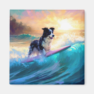Imán Pintado de surf en la playa de Collie