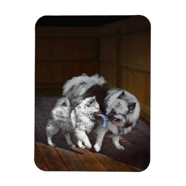 Imán Pintado Keeshond Playtime - Arte Perro Original. (Vertical)