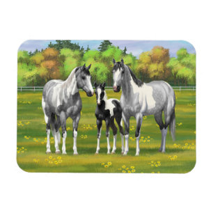 Imán Pintar los caballos de pintura de guijarros de gri