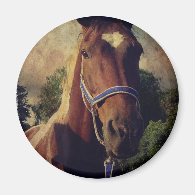 Imán Pinto (Frente)