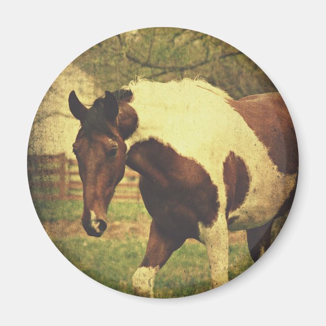 Imán Pinto (Frente)