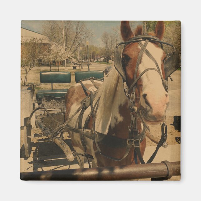 Imán Pinto Buggy Horse (Frente)