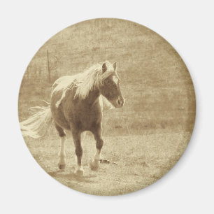 Imán Pinto Pony Sepia