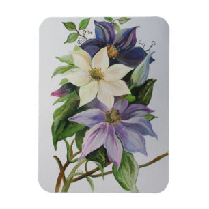 Imán Pintura acrílica de Lilac Clematis Vine