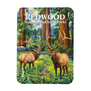 Imán Pintura al óleo del bosque de Redwood California E