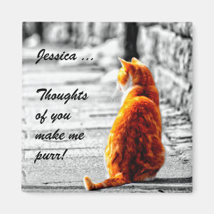 Imán Pintura anaranjada teñida A-PAL del gato de Tabby