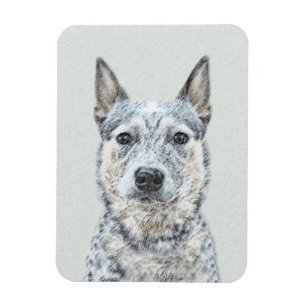 Imán Pintura australiana de perro de ganado bovino - Ar