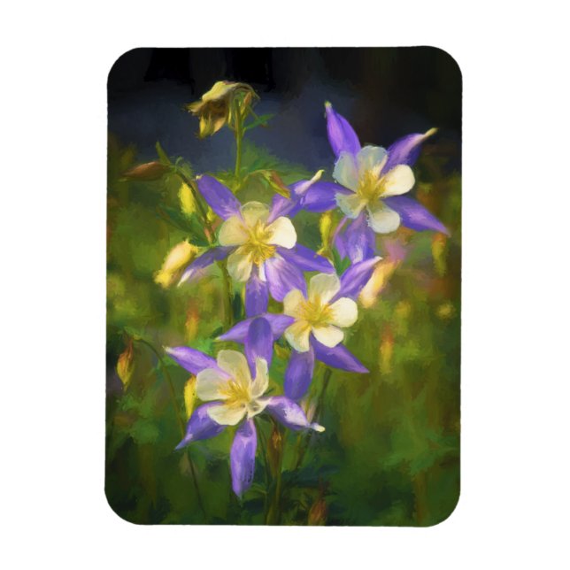 Imán Pintura Colorado Blue Columbine - Arte Original (Vertical)