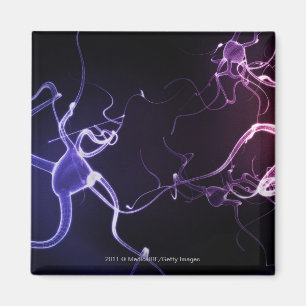 Imán Pintura colorida de neuronas