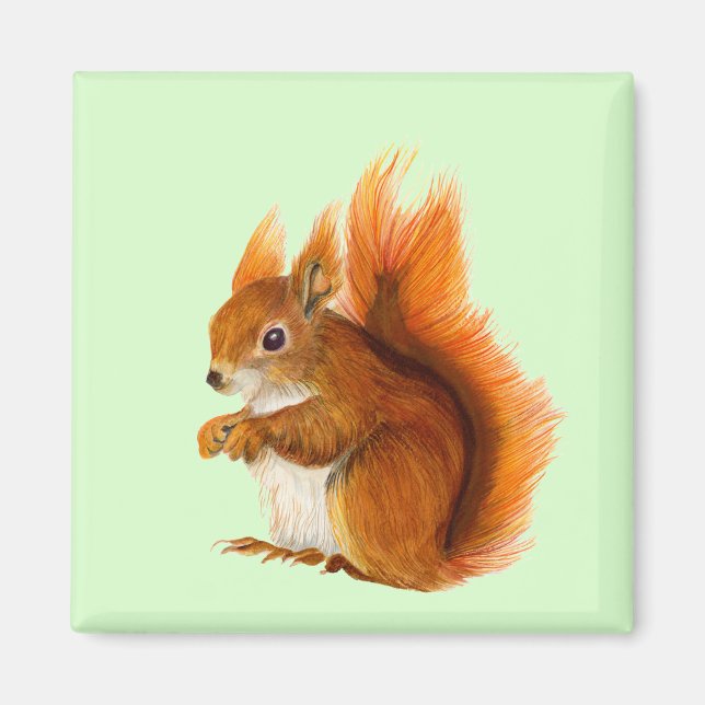Imán Pintura de acuarela de ardilla roja (Frente)