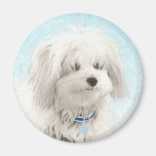 Imán Pintura de algodón de tulear - Arte de perro orig