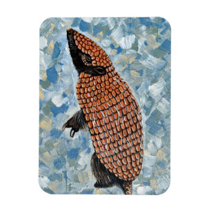 Imán Pintura de armadillo