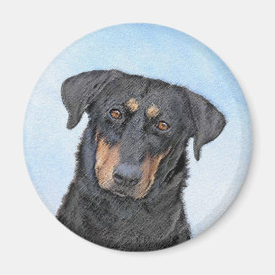 Imán Pintura de Beauceron - Arte de perro original y bo