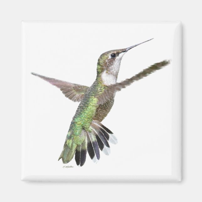 Imán Pintura de berlinés de colibrí (Frente)