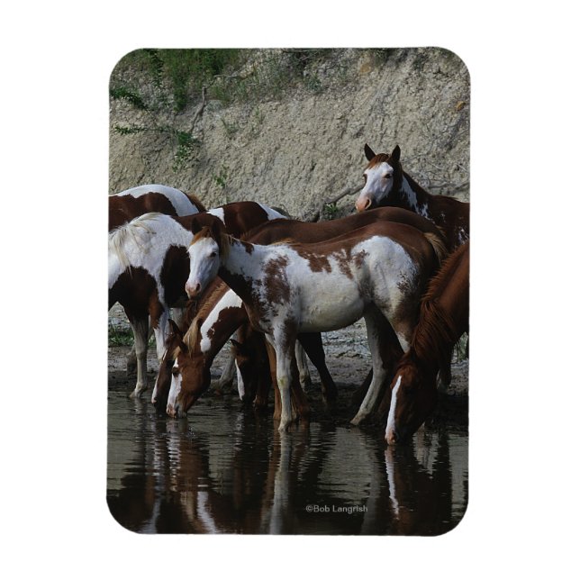 Imán Pintura de caballos (Vertical)