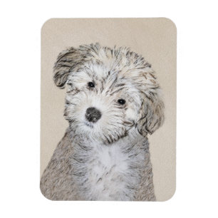 Imán Pintura de cachorro habanesa - Arte de perro origi