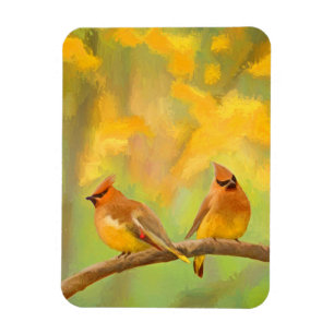 Imán Pintura de cedro Waxwing - Arte de perro original