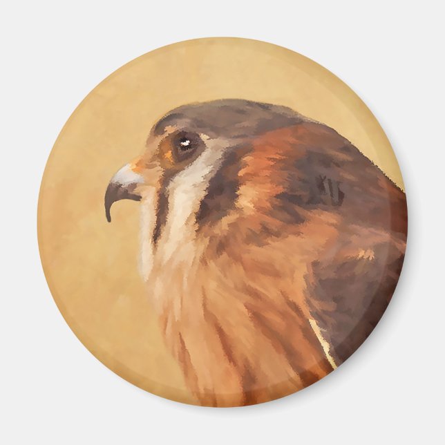 Imán Pintura de cernícalo estadounidense - Arte de pája (Frente)