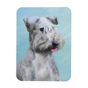 Imán Pintura de Cesky Terrier - Arte de Perro Original.