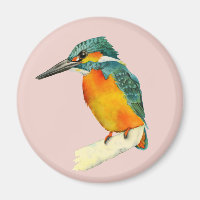 Pintura de color de agua de aves de Kingfisher