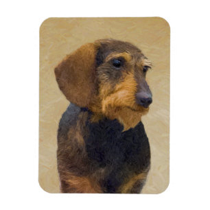 Imán Pintura de Dachshund (Pelo duro) Arte original de 