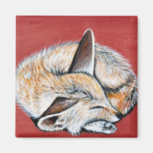Imán Pintura de Fennec Fox