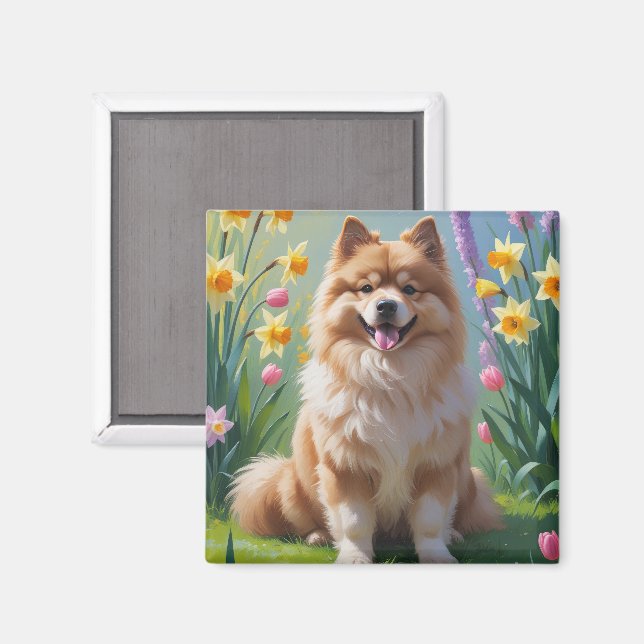 Imán Pintura de flores de primavera del perro Keeshond  (Anverso/Reverso)