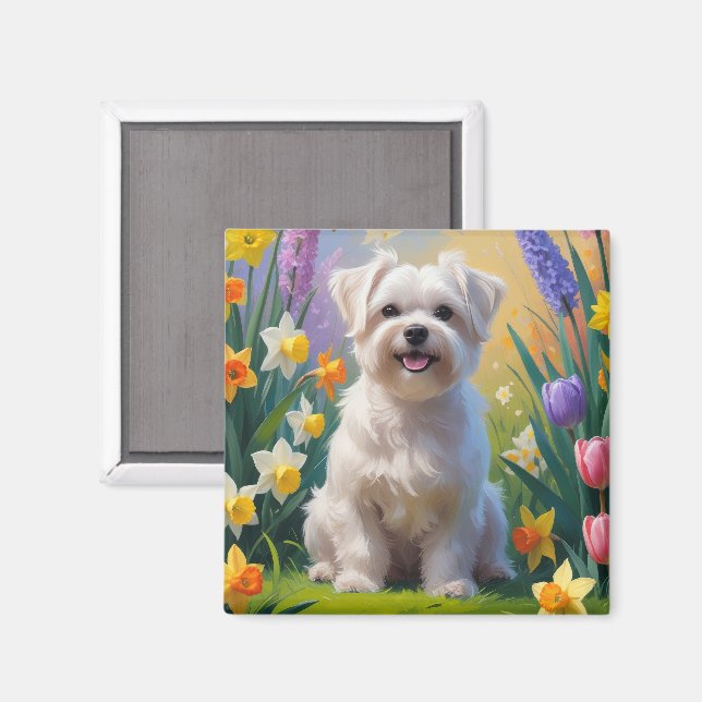 Imán Pintura de flores de primavera del perro maltés (Anverso/Reverso)