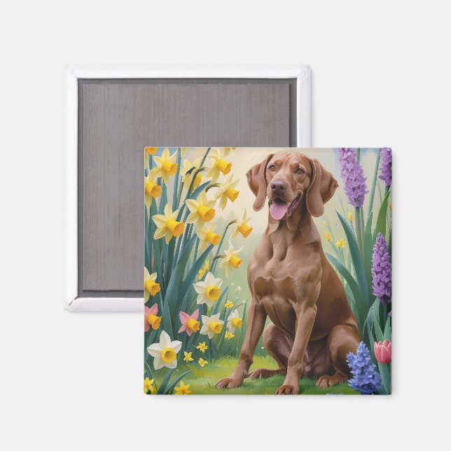 Imán Pintura de flores de primavera del perro Vizsla (Anverso/Reverso)