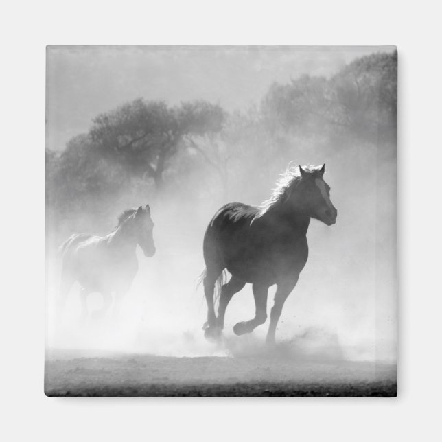Imán Pintura de fotos de caballos en blanco y negro (Frente)