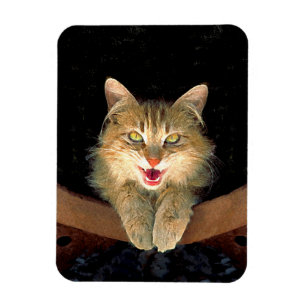 Imán Pintura de gato loco - Arte de gato original lindo