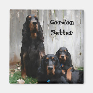 Imán Pintura de generaciones de Setter Gordon en un imá